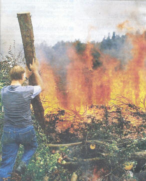 Feuerbrandbekämpfung: Befallenes Schnittgut wird verbrannt