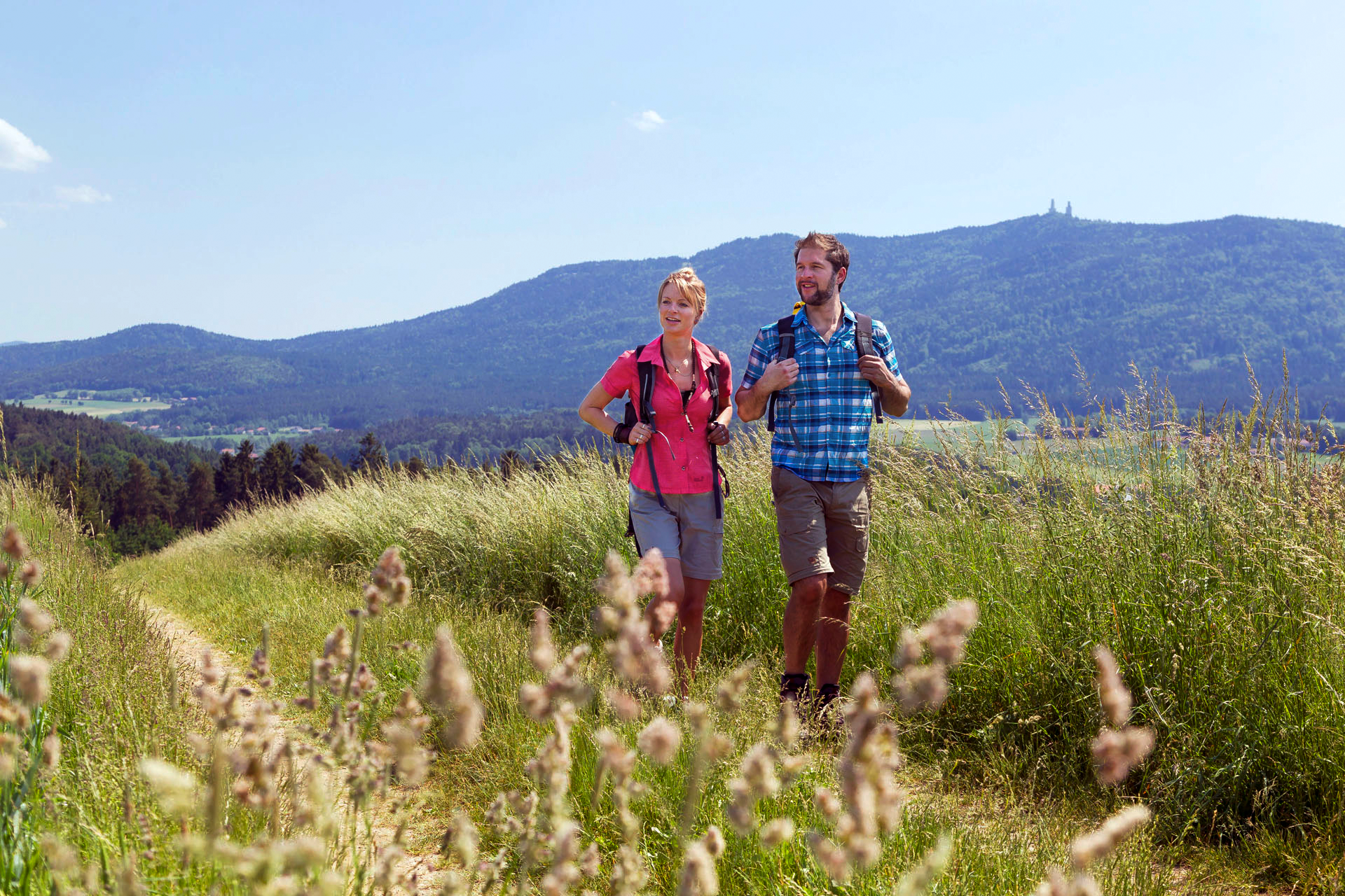 Junges Paar wandert über Sommerwiese im Bayerischen Wald